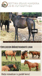 Mobile Screenshot of bottyanequus.com
